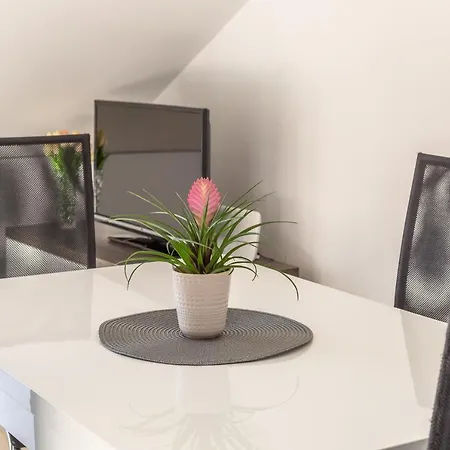 Apartment Ferdo 2